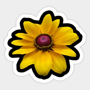 yellow blooming coneflower, flower, petals, floral Sticker
